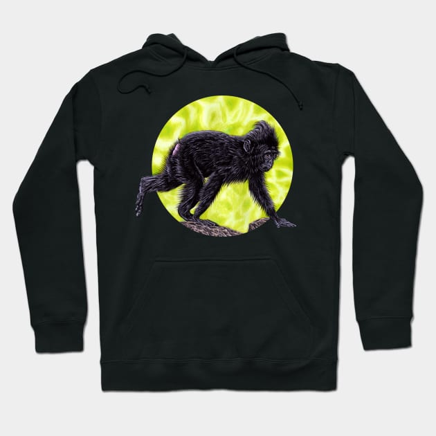 Baby Sulawesi crested macaque monkey Hoodie by lorendowding